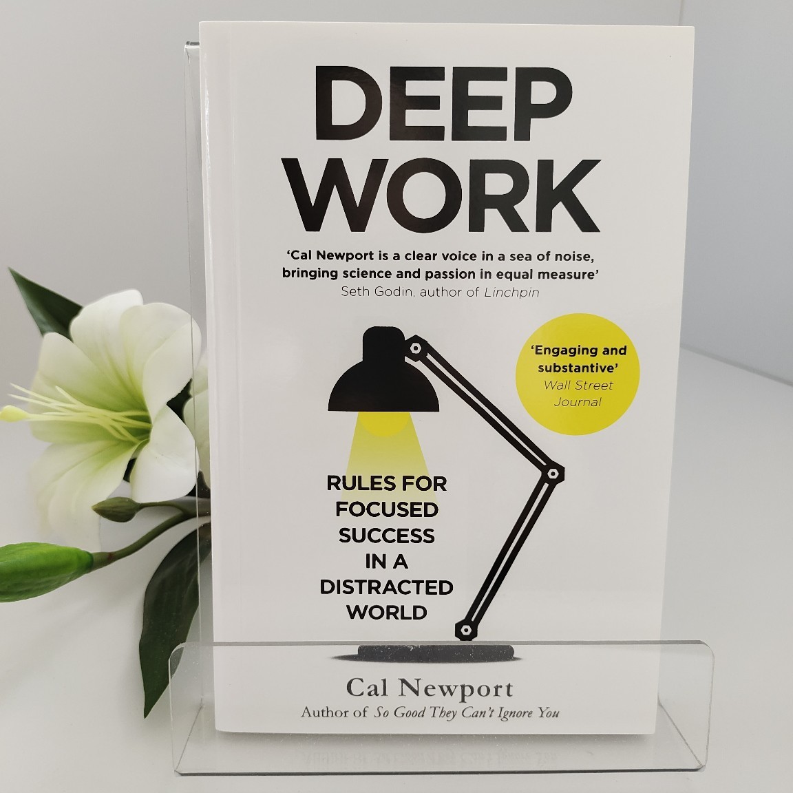 Renewable Energy Resources - Deep Work de Cal Newport |