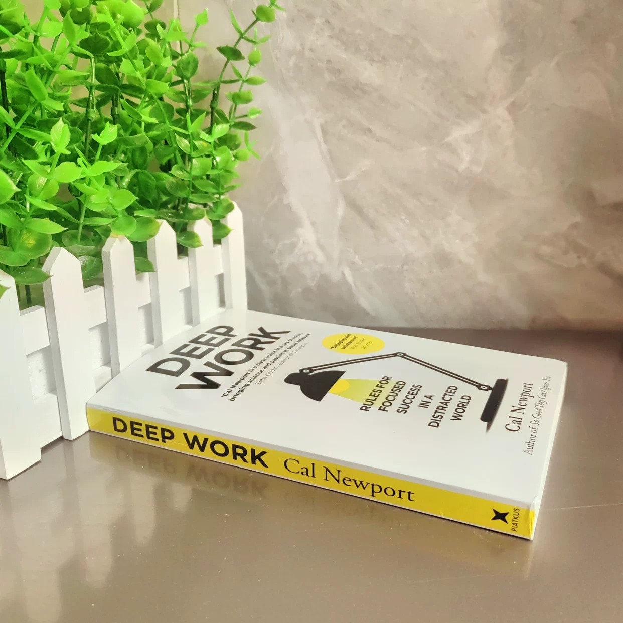 Deep Work de Cal Newport |   R - Renewable Energy Resources avis et prix